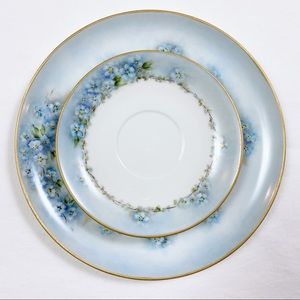 Vintage Set of 2 Hand Painted Plates